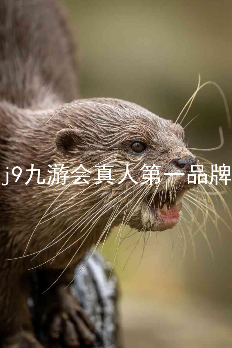 j9九游会真人第一品牌